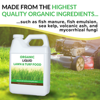 Organic Liquid Lawn & Turf Food - 32oz — thumbnail 4