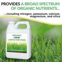 Organic Liquid Lawn & Turf Food - 32oz — thumbnail 5